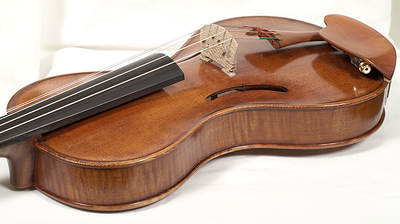 prospero-5-string-violin-ribs.jpg