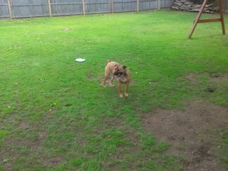 phone june 2015 1753.jpg