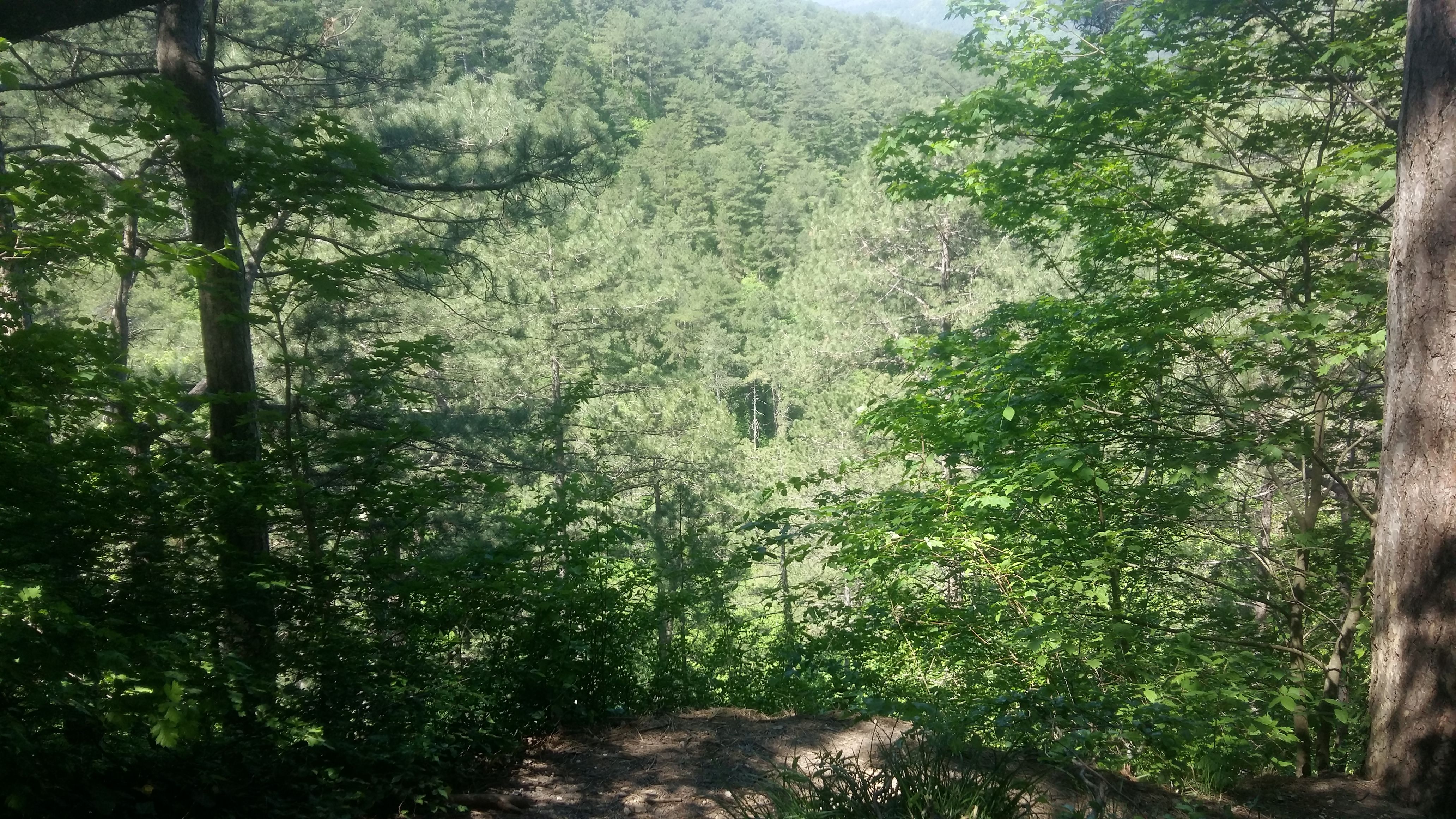 20180502_122020.jpg