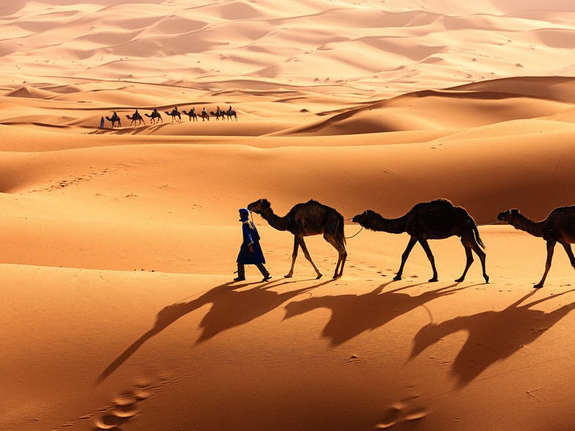 sahara morocco.jpg