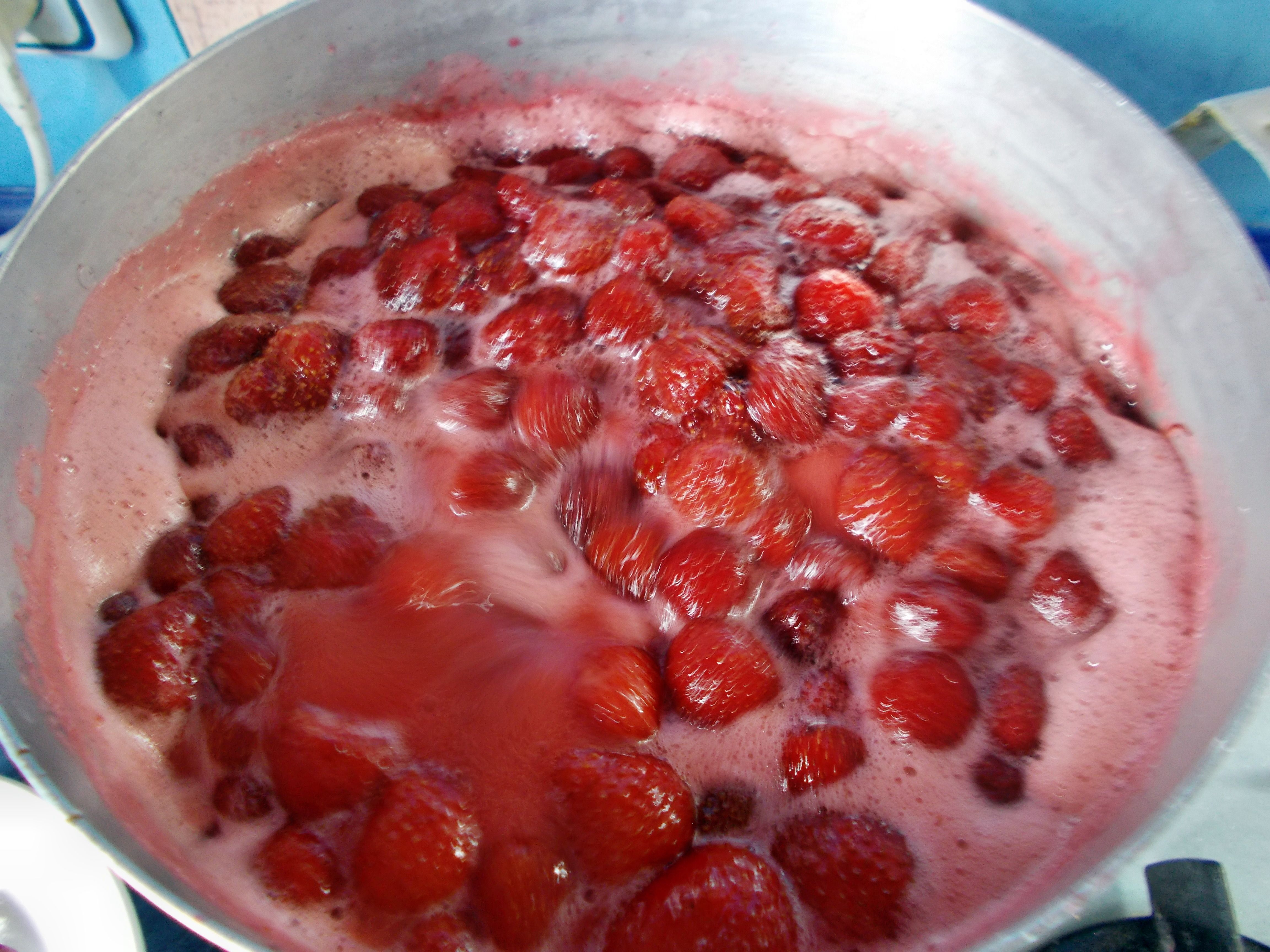 DSCN0801.JPG