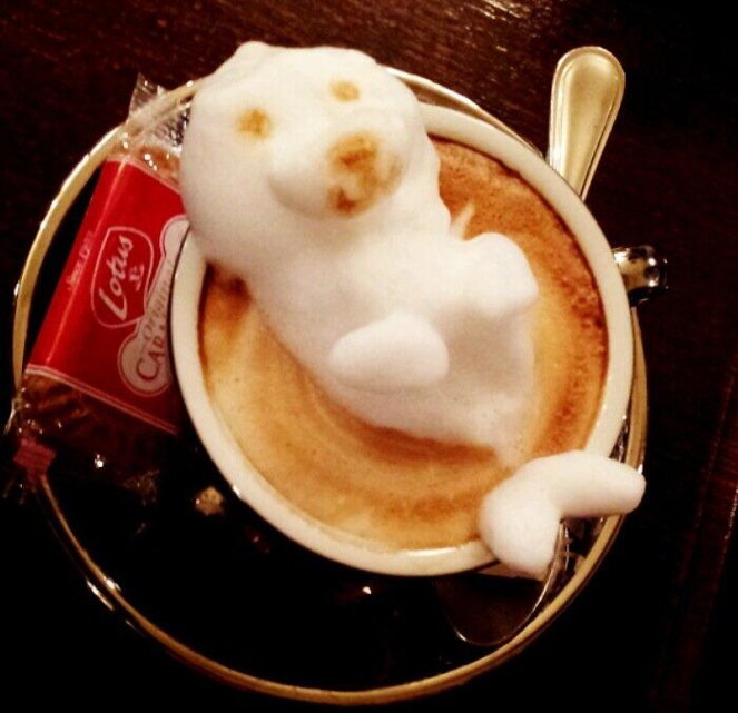 kazuki-yamamoto-3d-latte-26.jpg