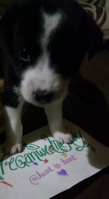 oreo veganwednesday.JPG