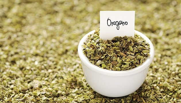 s. Oregano.jpg