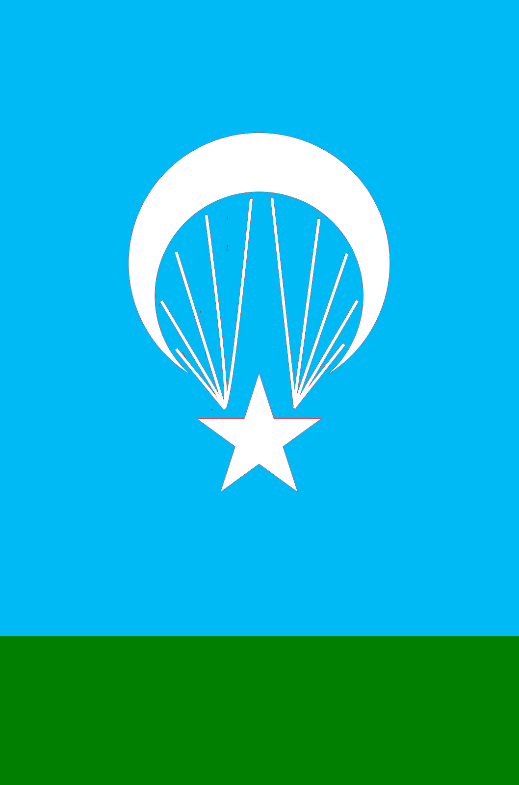 Flag_of_ParaTurkey_blue_green.png