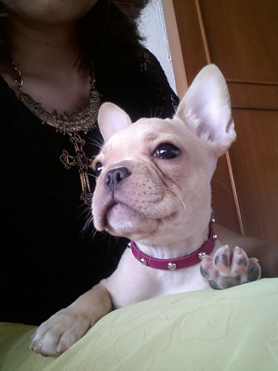 20140612_133124.jpg