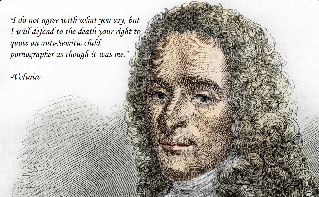 VOLTAIRE MISS QUOTE .png
