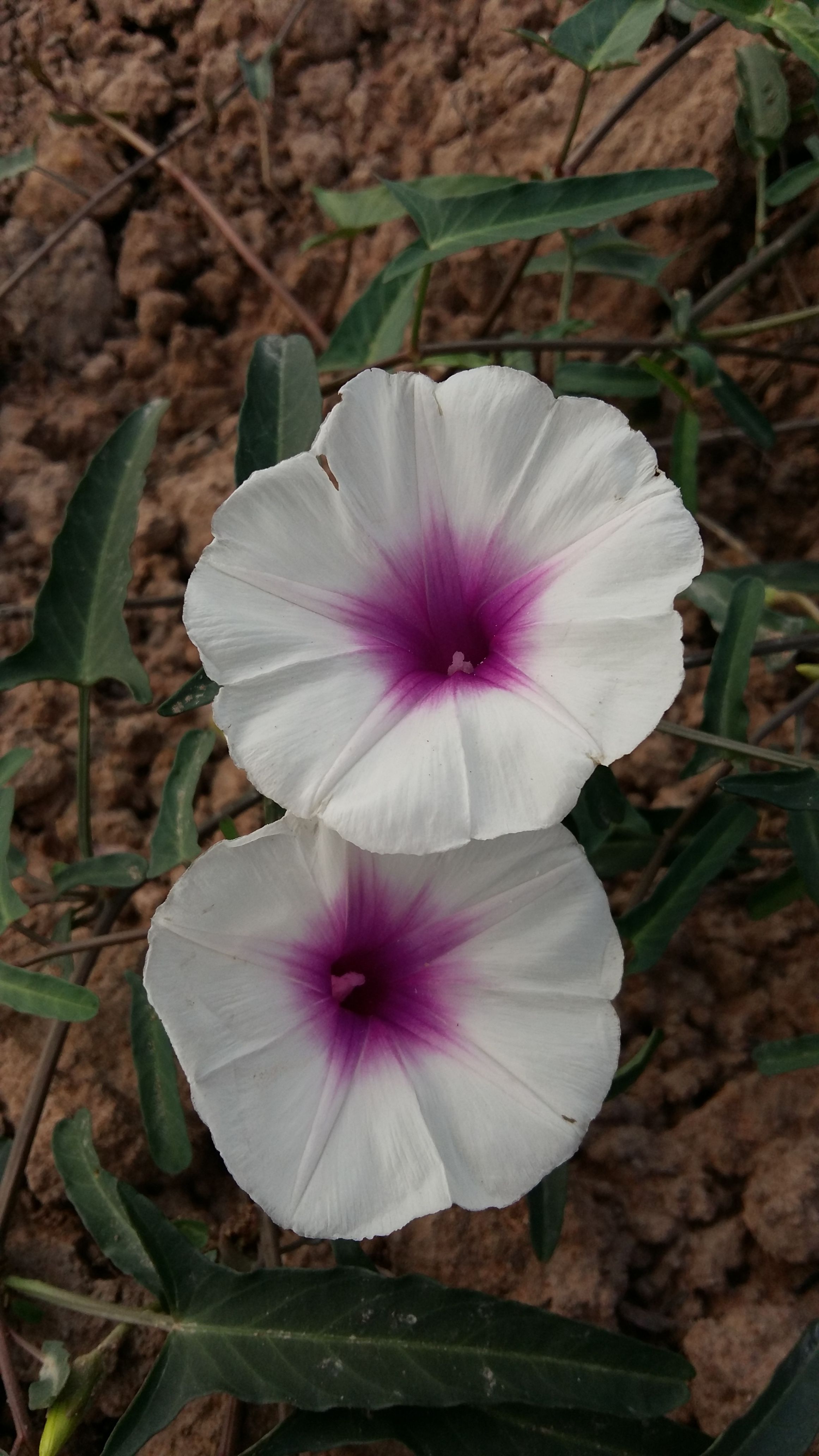 20180326_092911.jpg