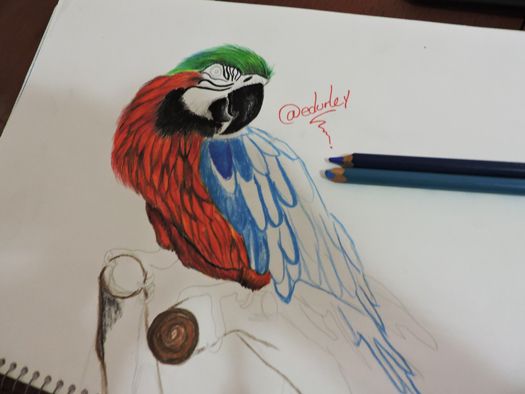 loro4.jpg