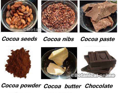 cocoa-products.jpg
