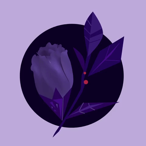 giphy (16).gif