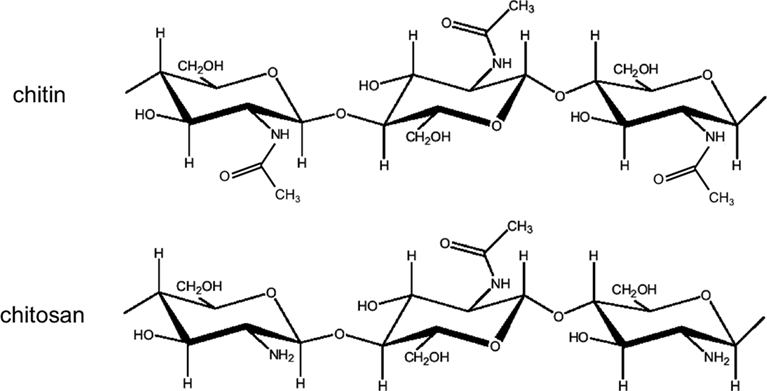 chitin chitosan.png