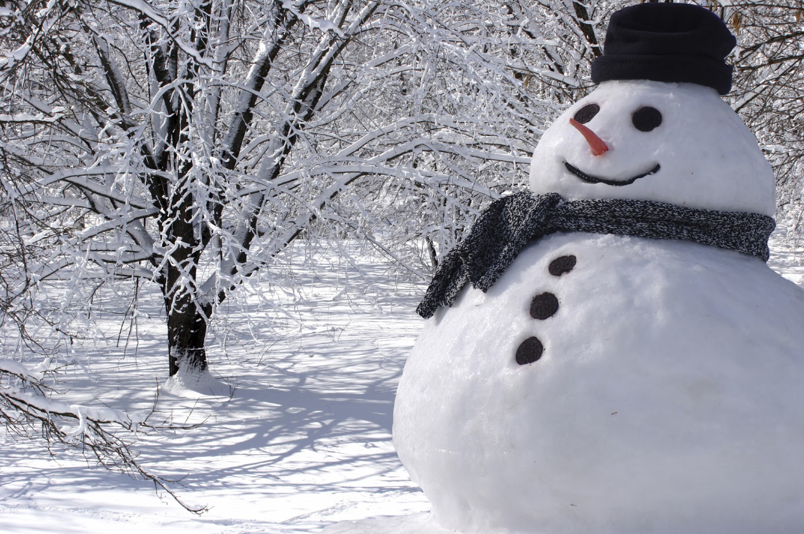 snowman.jpg