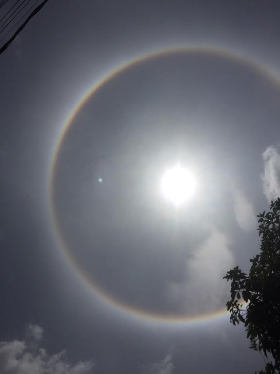 sun halo4.jpg