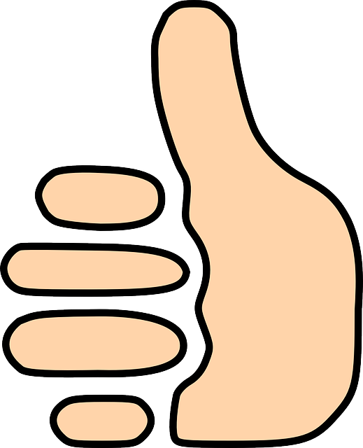 thumbs-up-294069_640.png