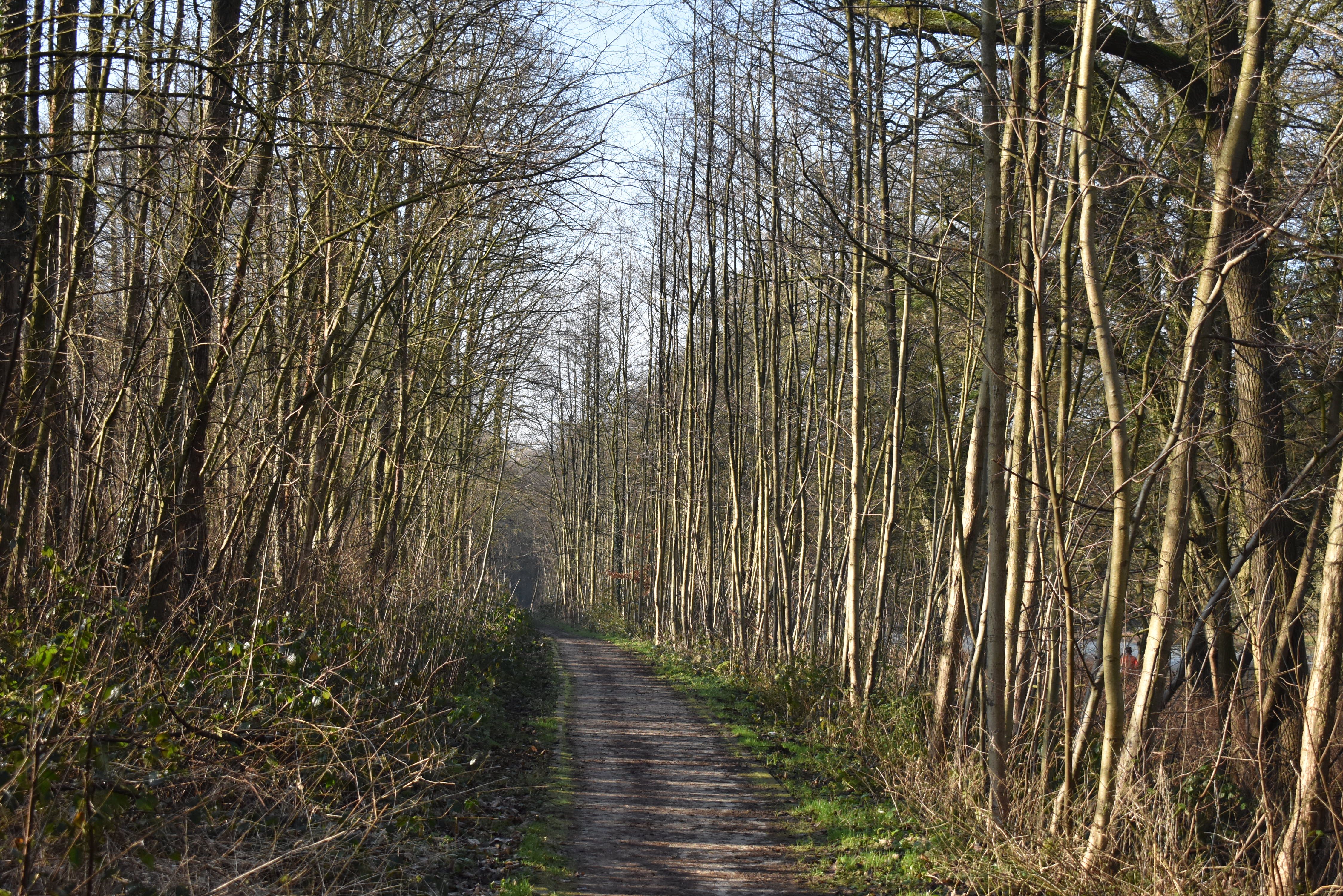 DSC_0117.JPG
