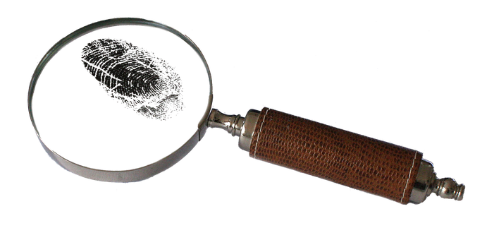 magnifying-2681372__340.png