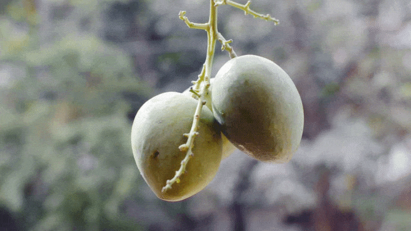 Download Https Encrypted Tbn0 Gstatic Com Images Q Tbn 3aand9gcr6dnklycsnklaanq Wtvm1tlwe40rnyb Z W Usqp Cau Desktop Wallpaper Free Wallpaper Https Encrypted Tbn0 Gstatic Com Images Q Tbn 3aand9gcr6dnklycsnklaanq Wtvm1tlwe40rnyb Z W Usqp Cau For Free