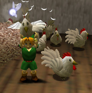 cucco.jpg