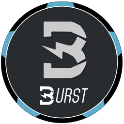 burstcoin_logo_256x256.png