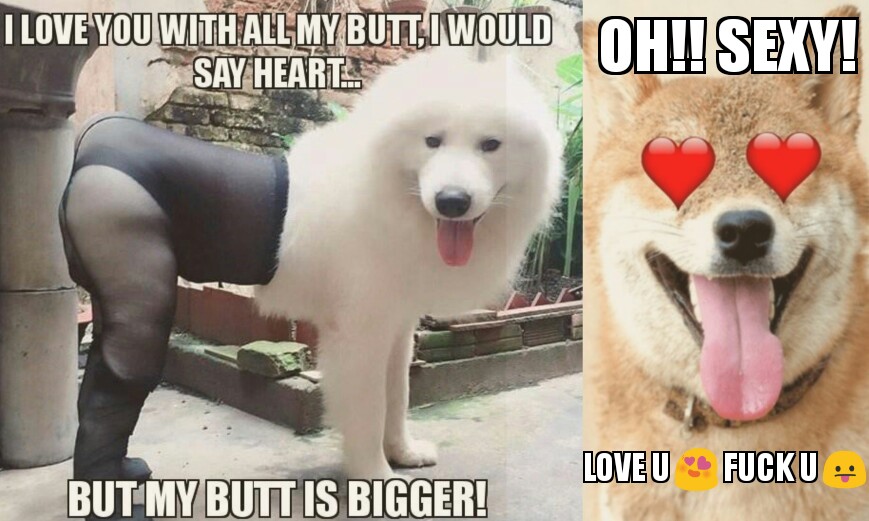 Dog meme.jpg