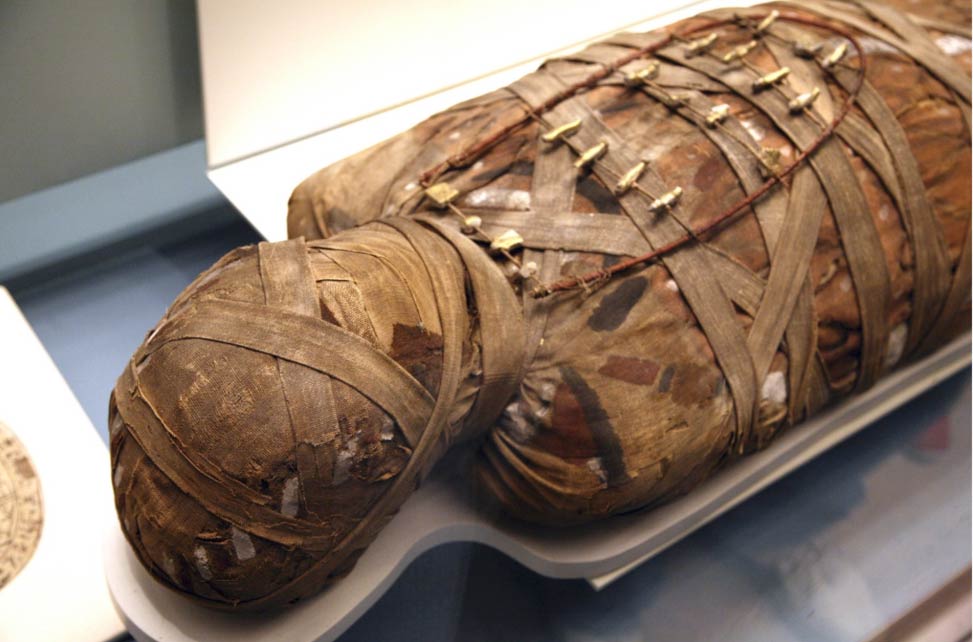 Egyptian-Mummy-Found-774x540.jpg