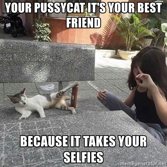 your-pussycat-its-your-best-friend-because-it-takes-your-selfies.jpg