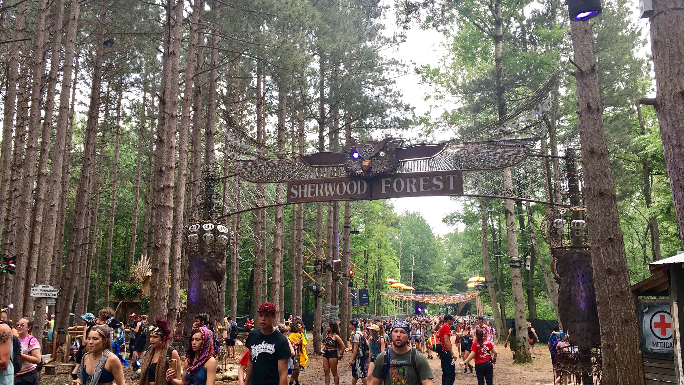 Electric Forest Music Festival day 2 — Steemit