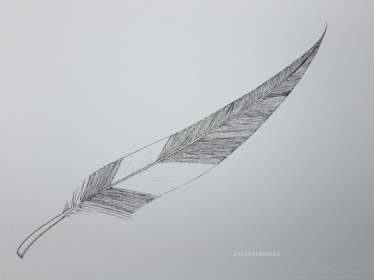 enternamehere-steemit-day6-alphabetartchallenge-feather-3.jpg