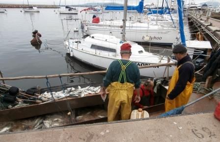 pesca 3.jpg