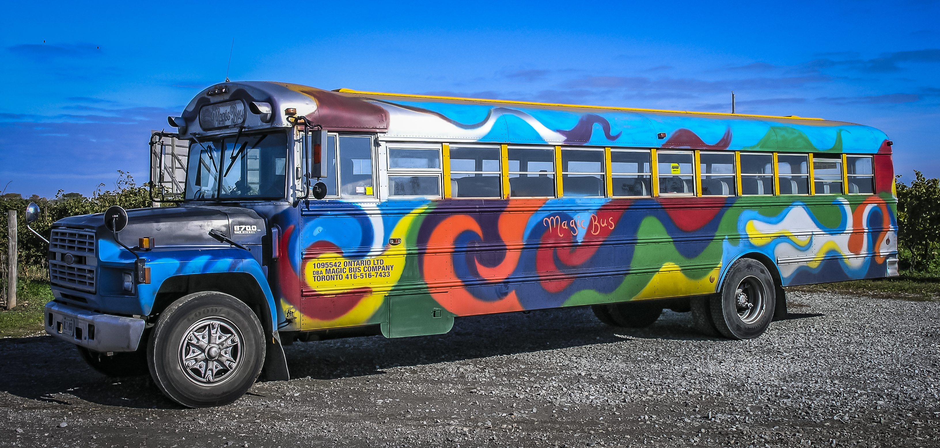 Бус прк. Волшебный автобус. Сказочный автобус. Magic Bus. Звери в автобусе.