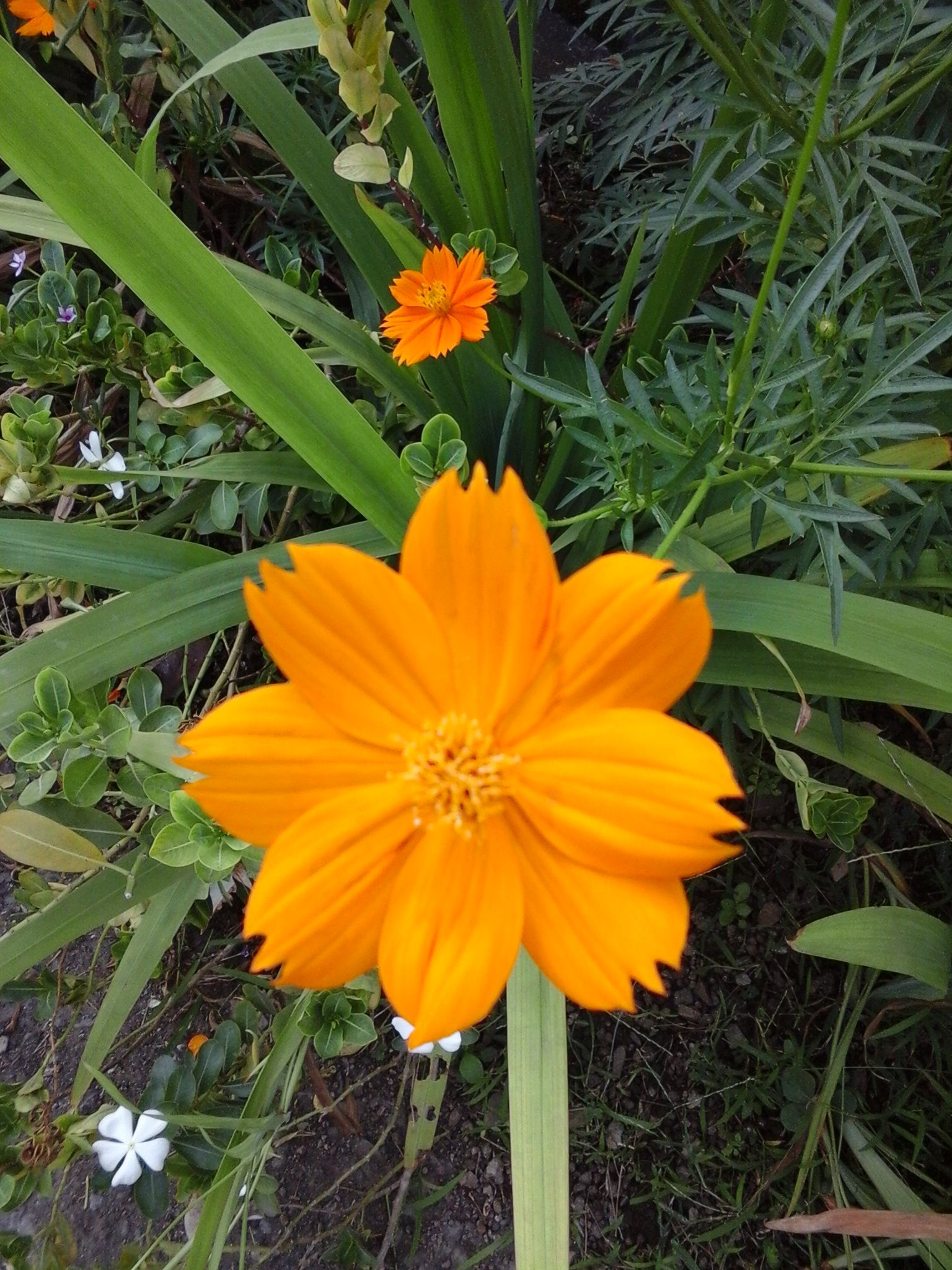 20170831_153606.jpg