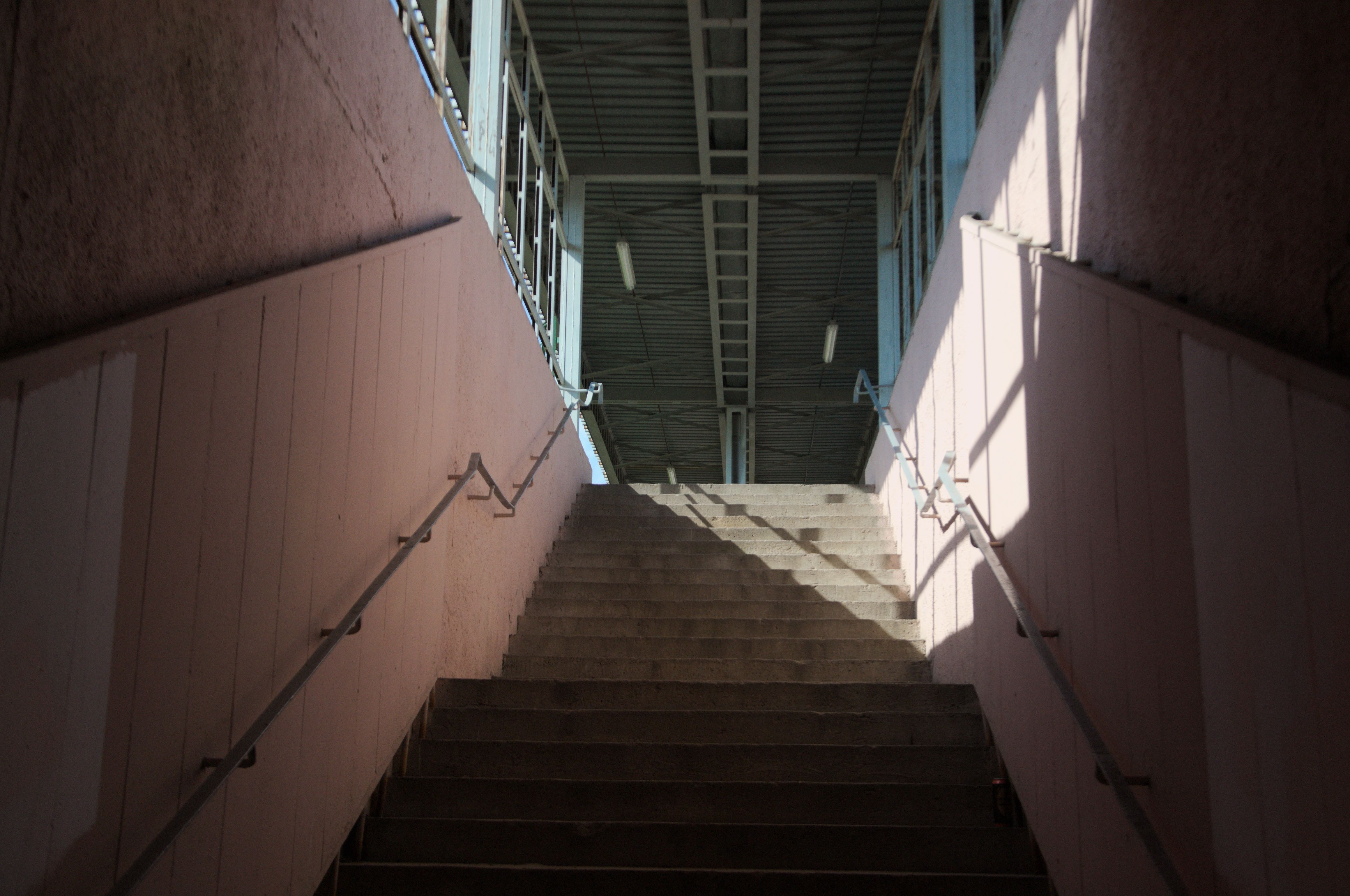 DSC_0056.jpg