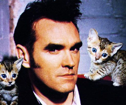 morrissey.jpg