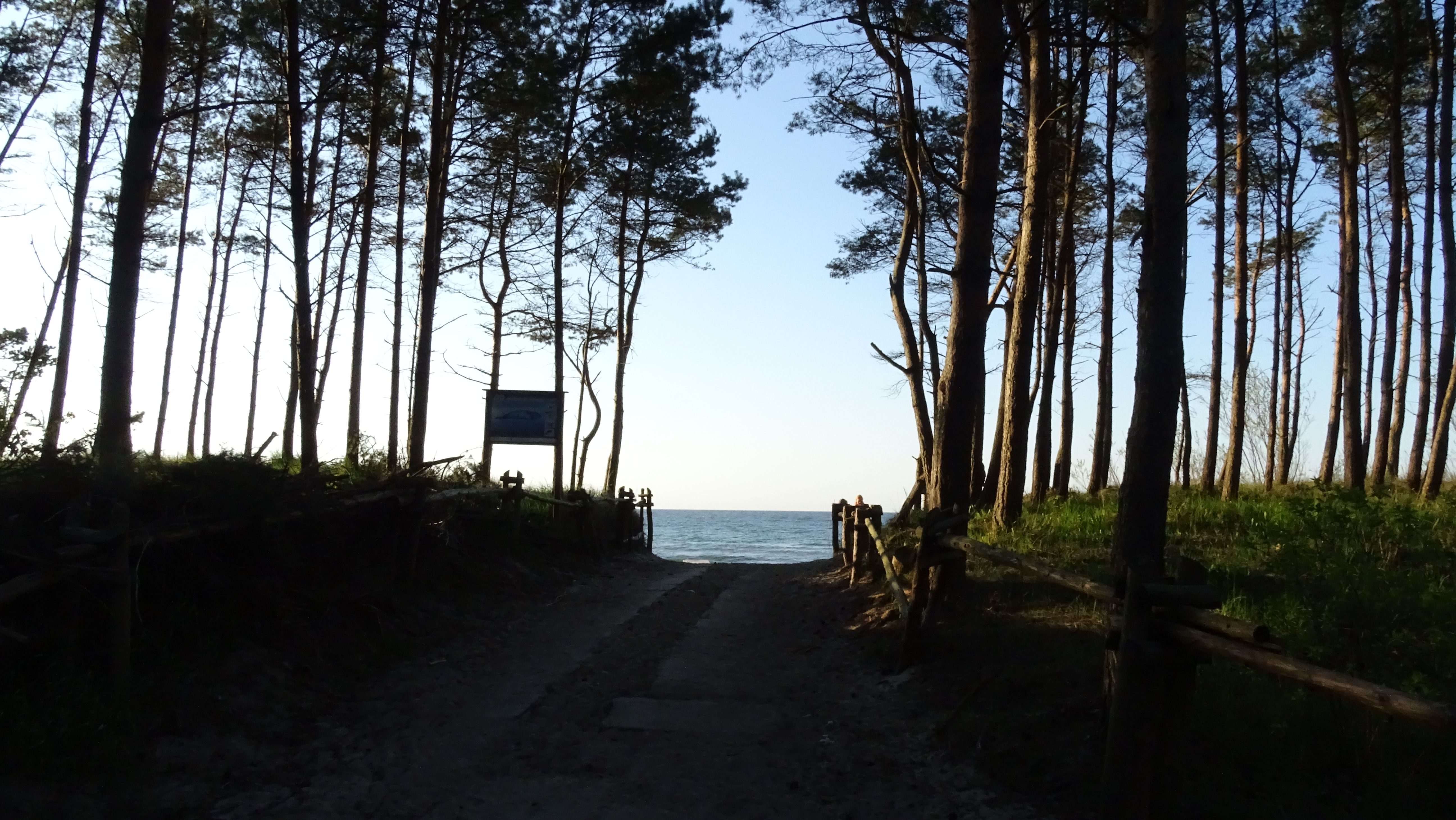 DSC01719.JPG
