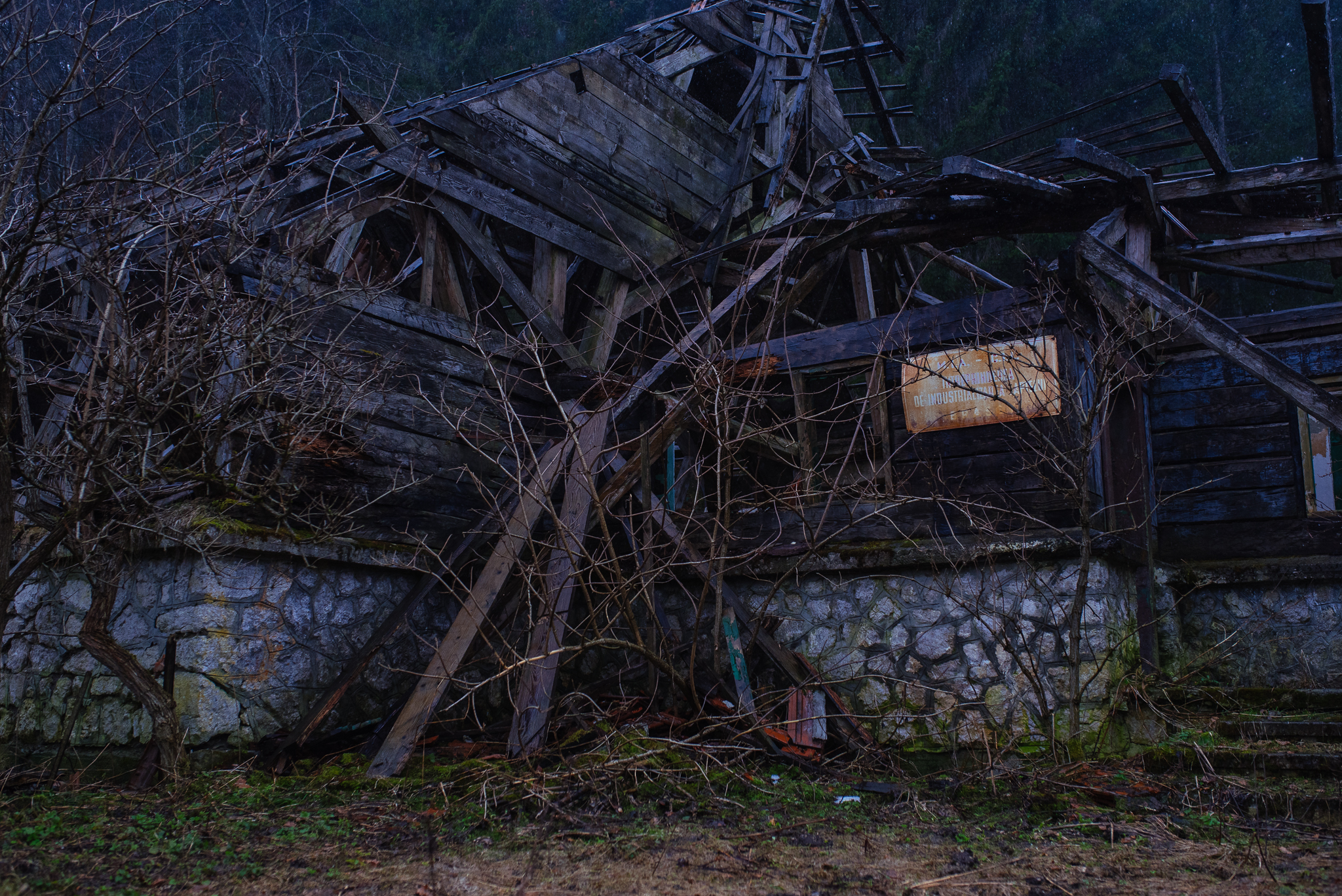 DSC_3276.jpg