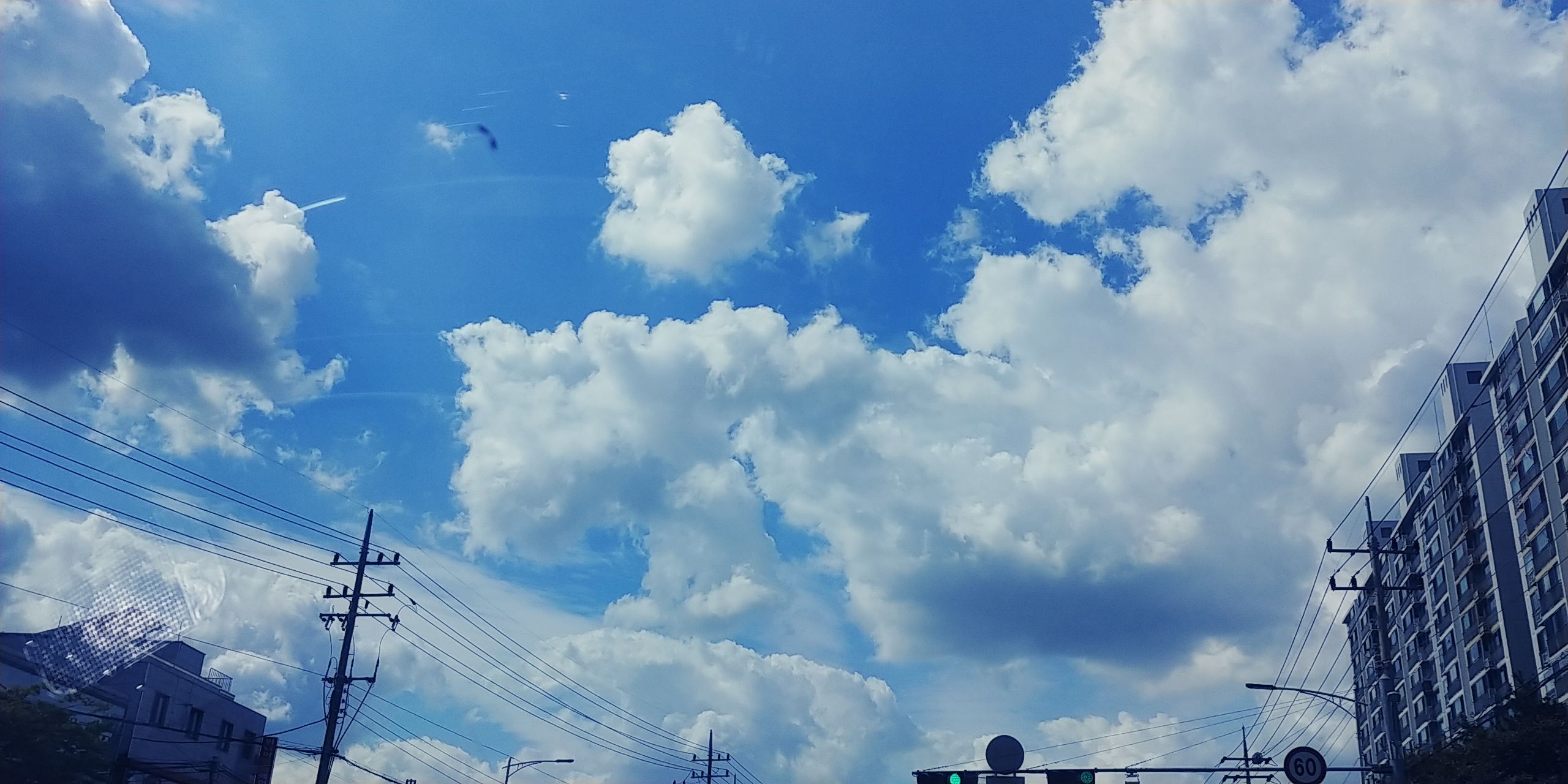 20171004_125333.jpg