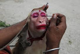 Beautiful Makeup Photo Smart Monkey Steemkr