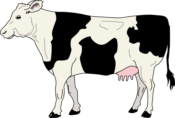 13179297812043329730Side View of a Cow.svg.hi.png