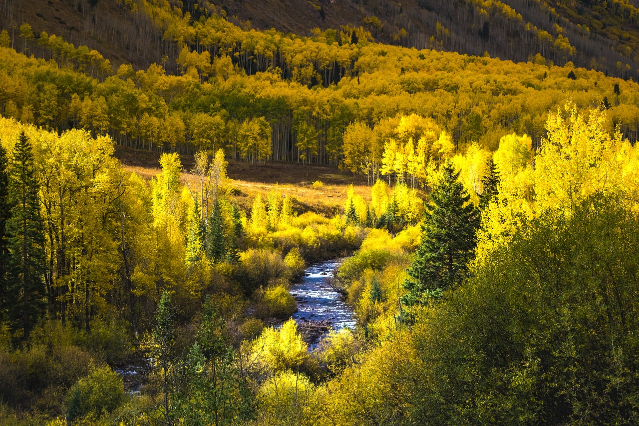 colorado-autumn-01.jpg