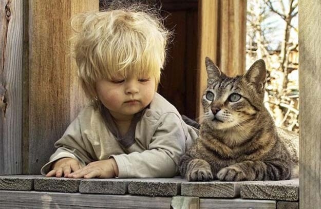 Funny Pictures With Little Kids And Cats Steemit