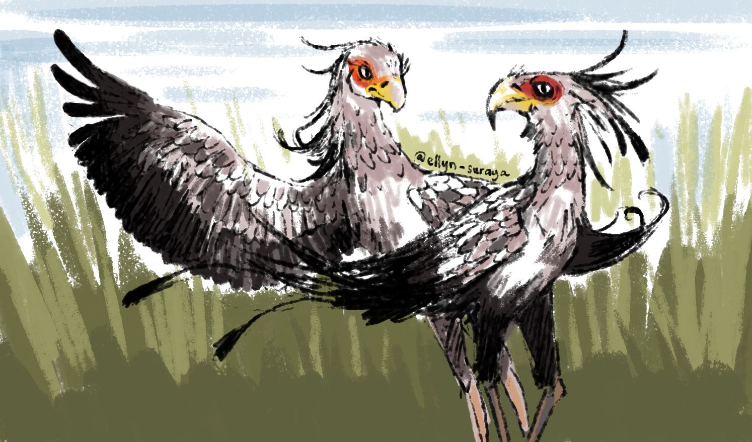 Daily Bird Drawings 2 Secretary Bird PROCESS GIF Steemit