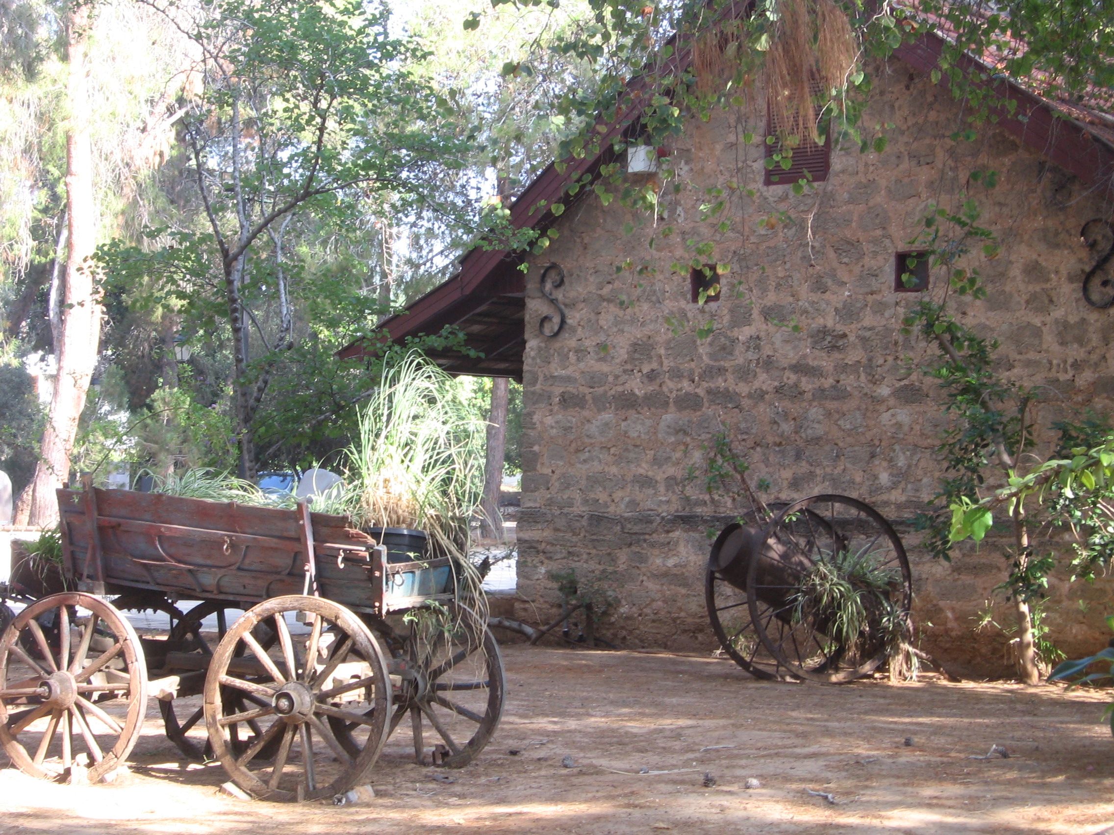 The old library