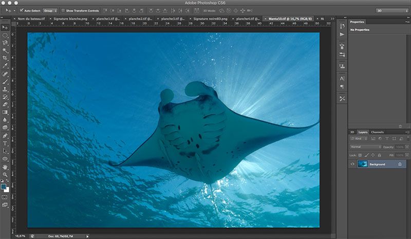 Manta capture 1.jpg