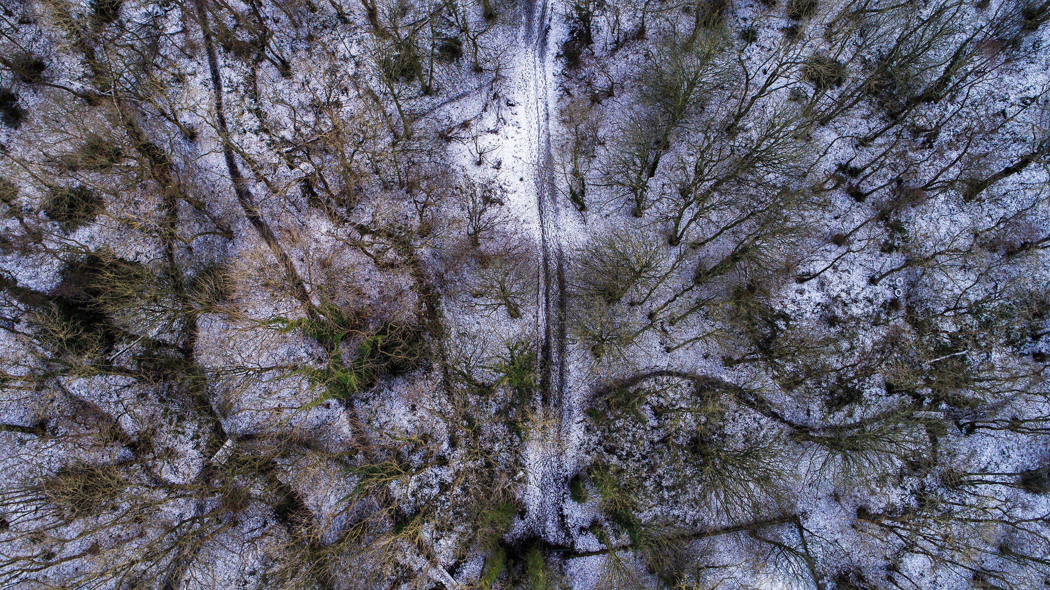 Yorskhire Snowdrone201dji_030007.jpg