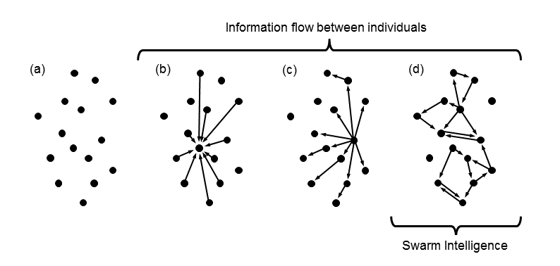 Fig-1-from-collective-intelligence-review.png