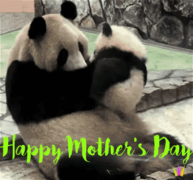 happy-mothers-day-panda-bear-with-baby-ecard-gif.gif
