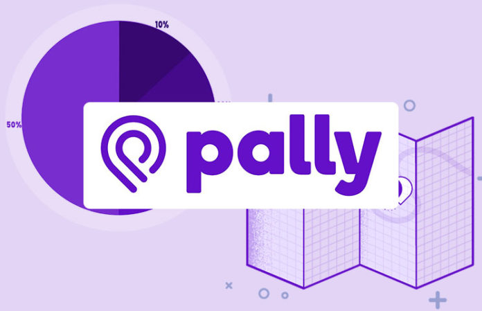 pallycoin-696x449.jpg