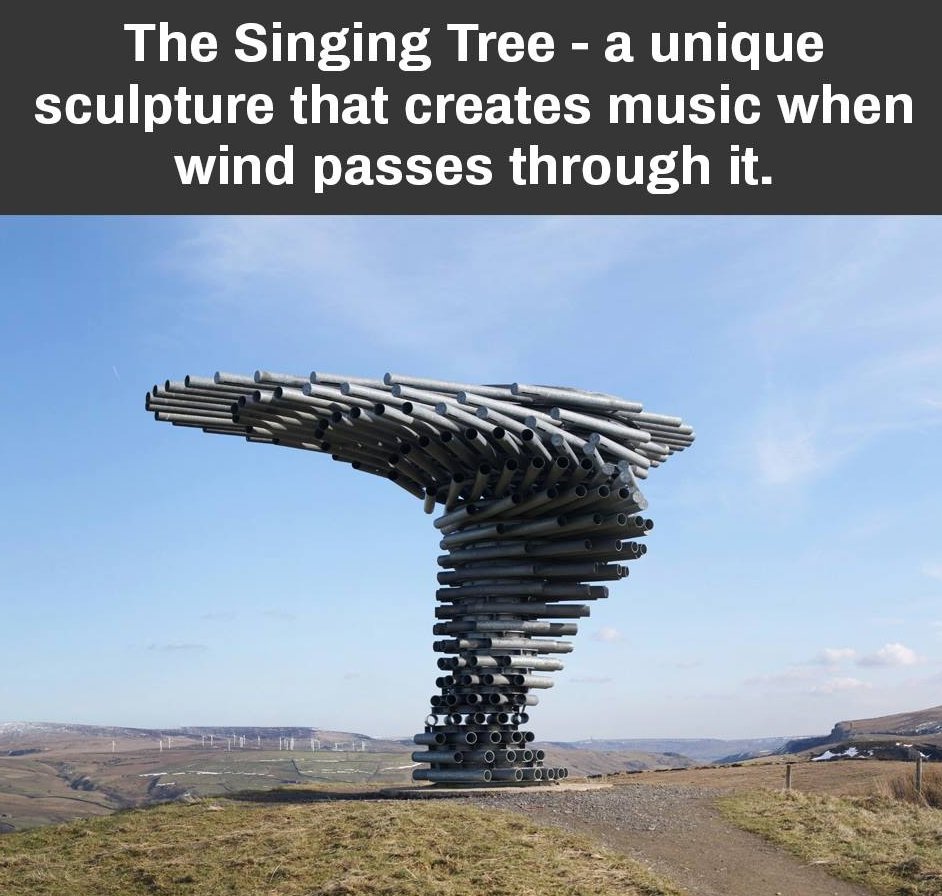 THE SINGING TREE.jpg