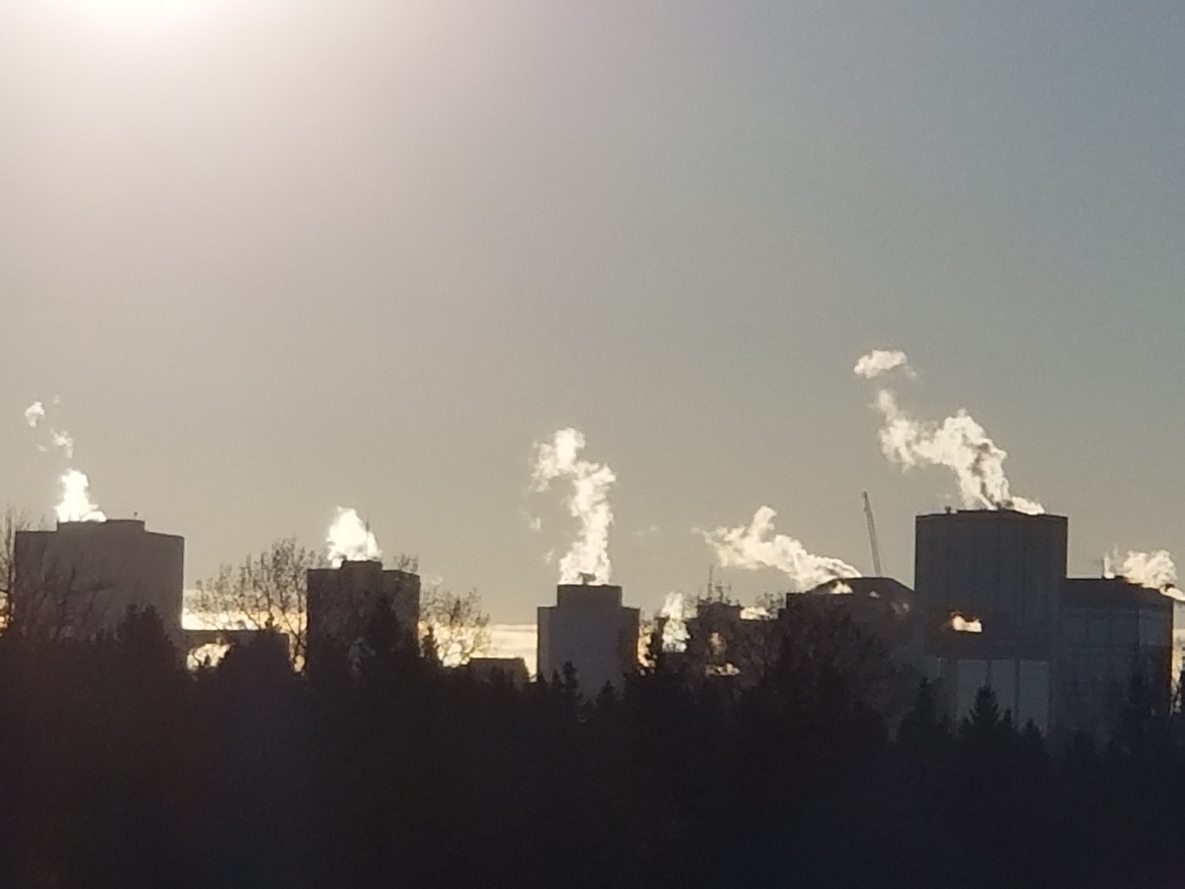 20180220_165410.jpg